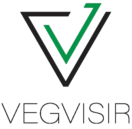 Vegvisir logo