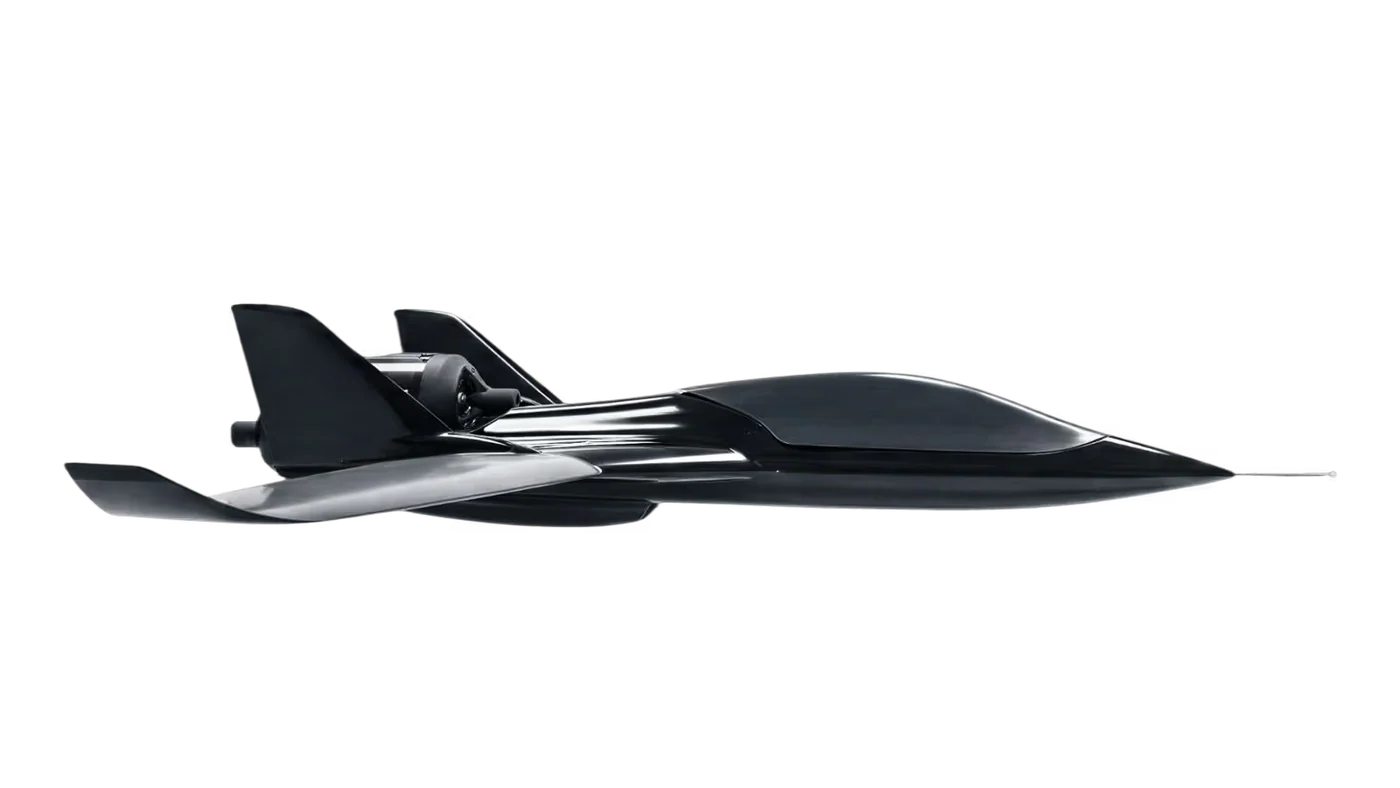 Black Bird